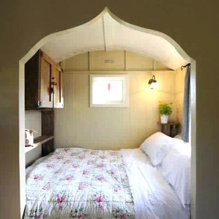 Beech Shepherds Hut 约克 外观 照片